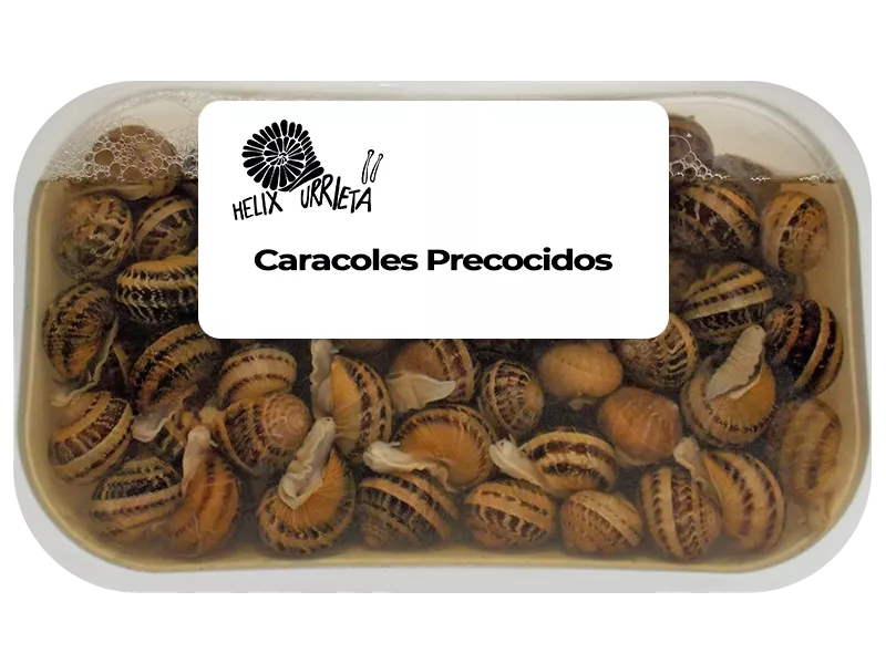 Caracoles Precocidos Helix Urrieta